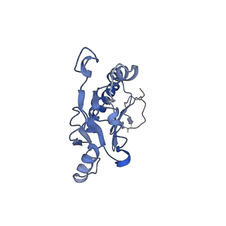 20556_6q16_T_v1-2
Focussed refinement of InvGN0N1:PrgHK:SpaPQR:PrgIJ from Salmonella SPI-1 injectisome NC-base