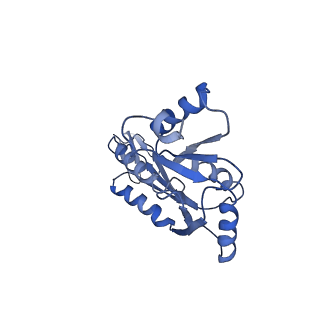 20556_6q16_X_v1-2
Focussed refinement of InvGN0N1:PrgHK:SpaPQR:PrgIJ from Salmonella SPI-1 injectisome NC-base