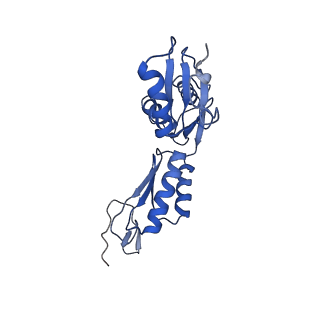 20556_6q16_f_v1-2
Focussed refinement of InvGN0N1:PrgHK:SpaPQR:PrgIJ from Salmonella SPI-1 injectisome NC-base