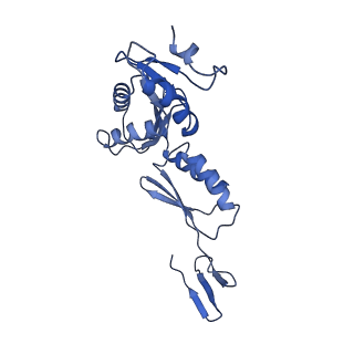 20556_6q16_j_v1-2
Focussed refinement of InvGN0N1:PrgHK:SpaPQR:PrgIJ from Salmonella SPI-1 injectisome NC-base