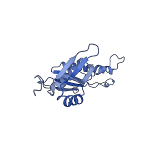 20556_6q16_p_v1-2
Focussed refinement of InvGN0N1:PrgHK:SpaPQR:PrgIJ from Salmonella SPI-1 injectisome NC-base