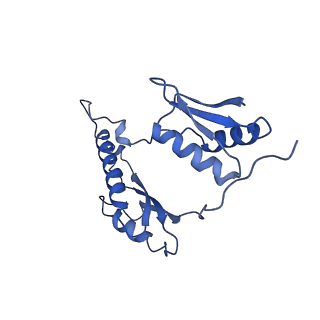 20556_6q16_w_v1-2
Focussed refinement of InvGN0N1:PrgHK:SpaPQR:PrgIJ from Salmonella SPI-1 injectisome NC-base