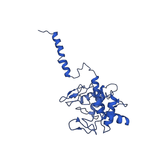 13777_7q21_C_v1-1
III2-IV2 respiratory supercomplex from Corynebacterium glutamicum