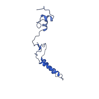 13777_7q21_H_v1-1
III2-IV2 respiratory supercomplex from Corynebacterium glutamicum