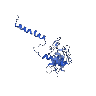 13777_7q21_c_v1-1
III2-IV2 respiratory supercomplex from Corynebacterium glutamicum