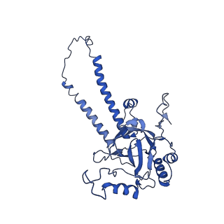 13777_7q21_g_v1-1
III2-IV2 respiratory supercomplex from Corynebacterium glutamicum