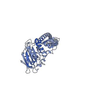 13783_7q2x_A_v1-1
Cryo-EM structure of clamped S.cerevisiae condensin-DNA complex (Form I)