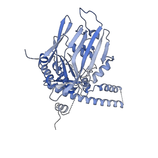 13783_7q2x_B_v1-1
Cryo-EM structure of clamped S.cerevisiae condensin-DNA complex (Form I)