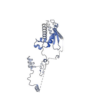 13783_7q2x_C_v1-1
Cryo-EM structure of clamped S.cerevisiae condensin-DNA complex (Form I)