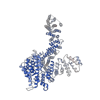 13783_7q2x_D_v1-1
Cryo-EM structure of clamped S.cerevisiae condensin-DNA complex (Form I)