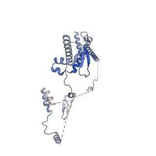 13784_7q2y_C_v1-3
Cryo-EM structure of clamped S.cerevisiae condensin-DNA complex (form II)