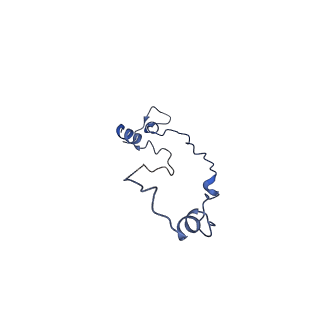 13786_7q2z_C_v1-1
Cryo-EM structure of S.cerevisiae condensin Ycg1-Brn1-DNA complex