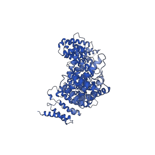 13786_7q2z_E_v1-1
Cryo-EM structure of S.cerevisiae condensin Ycg1-Brn1-DNA complex