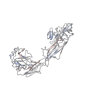 20572_6q2j_E_v1-1
Cryo-EM structure of extracellular dimeric complex of RET/GFRAL/GDF15