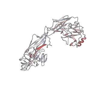 20572_6q2j_F_v1-1
Cryo-EM structure of extracellular dimeric complex of RET/GFRAL/GDF15