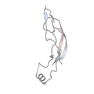 20575_6q2n_A_v1-0
Cryo-EM structure of RET/GFRa1/GDNF extracellular complex