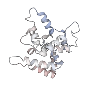 20575_6q2n_C_v1-0
Cryo-EM structure of RET/GFRa1/GDNF extracellular complex