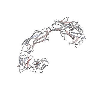20575_6q2n_E_v1-0
Cryo-EM structure of RET/GFRa1/GDNF extracellular complex