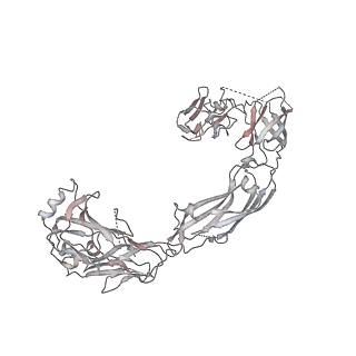 20575_6q2n_F_v1-0
Cryo-EM structure of RET/GFRa1/GDNF extracellular complex