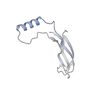 20578_6q2r_A_v1-1
Cryo-EM structure of RET/GFRa2/NRTN extracellular complex in the tetrameric form