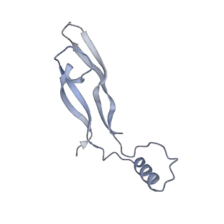 20578_6q2r_B_v1-1
Cryo-EM structure of RET/GFRa2/NRTN extracellular complex in the tetrameric form