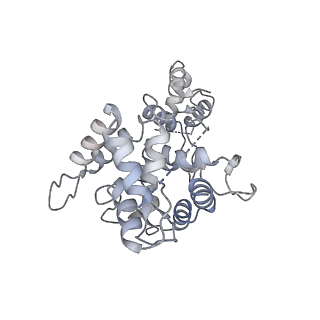 20578_6q2r_C_v1-1
Cryo-EM structure of RET/GFRa2/NRTN extracellular complex in the tetrameric form