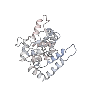 20578_6q2r_D_v1-1
Cryo-EM structure of RET/GFRa2/NRTN extracellular complex in the tetrameric form