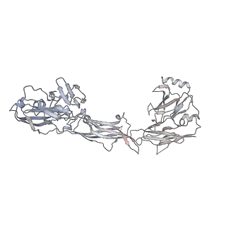 20578_6q2r_E_v1-1
Cryo-EM structure of RET/GFRa2/NRTN extracellular complex in the tetrameric form