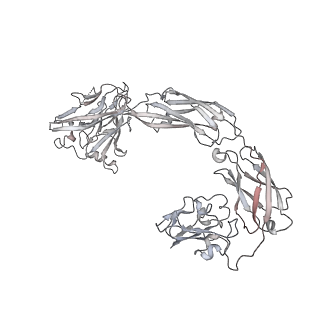 20578_6q2r_F_v1-1
Cryo-EM structure of RET/GFRa2/NRTN extracellular complex in the tetrameric form
