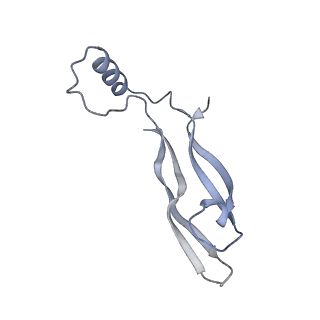 20578_6q2r_V_v1-1
Cryo-EM structure of RET/GFRa2/NRTN extracellular complex in the tetrameric form