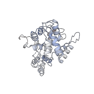 20578_6q2r_W_v1-1
Cryo-EM structure of RET/GFRa2/NRTN extracellular complex in the tetrameric form