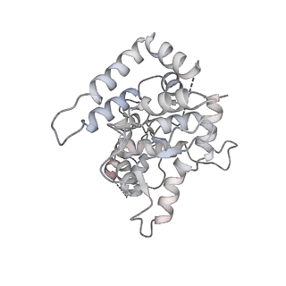 20578_6q2r_X_v1-1
Cryo-EM structure of RET/GFRa2/NRTN extracellular complex in the tetrameric form