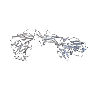 20578_6q2r_Y_v1-1
Cryo-EM structure of RET/GFRa2/NRTN extracellular complex in the tetrameric form