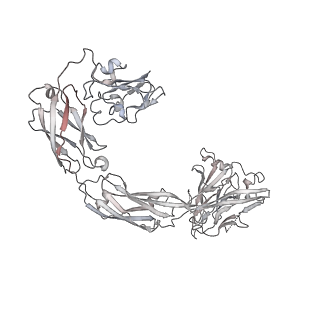 20578_6q2r_Z_v1-1
Cryo-EM structure of RET/GFRa2/NRTN extracellular complex in the tetrameric form