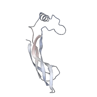 20579_6q2s_A_v1-1
Cryo-EM structure of RET/GFRa3/ARTN extracellular complex. The 3D refinement was applied with C2 symmetry.