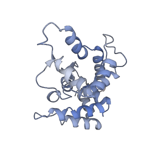 20579_6q2s_D_v1-1
Cryo-EM structure of RET/GFRa3/ARTN extracellular complex. The 3D refinement was applied with C2 symmetry.