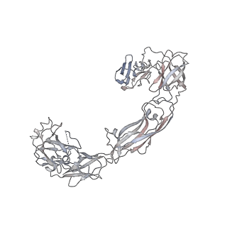 20579_6q2s_E_v1-1
Cryo-EM structure of RET/GFRa3/ARTN extracellular complex. The 3D refinement was applied with C2 symmetry.