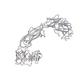 20579_6q2s_F_v1-1
Cryo-EM structure of RET/GFRa3/ARTN extracellular complex. The 3D refinement was applied with C2 symmetry.