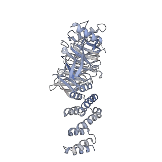 13789_7q3d_A_v1-2
Structure of the human CPLANE complex
