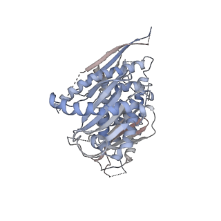 13789_7q3d_B_v1-2
Structure of the human CPLANE complex