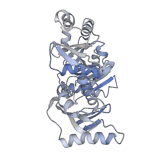 13789_7q3d_C_v1-2
Structure of the human CPLANE complex