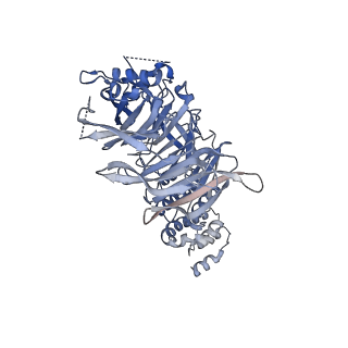 13790_7q3e_A_v1-2
Structure of the mouse CPLANE-RSG1 complex