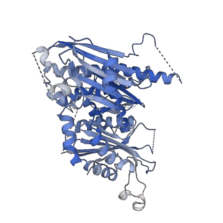 13790_7q3e_B_v1-2
Structure of the mouse CPLANE-RSG1 complex
