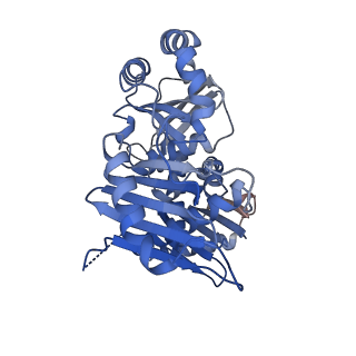 13790_7q3e_C_v1-2
Structure of the mouse CPLANE-RSG1 complex