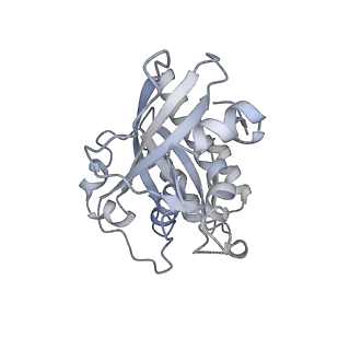 13790_7q3e_D_v1-2
Structure of the mouse CPLANE-RSG1 complex