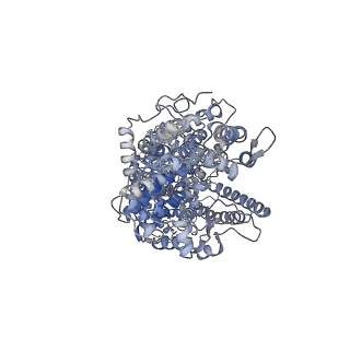 13797_7q3y_A_v1-2
Structure of full-length, monomeric, soluble somatic angiotensin I-converting enzyme showing the N- and C-terminal ellipsoid domains