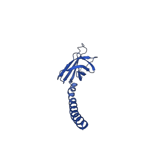 18119_8q30_0_v1-0
Sulfolobus acidocaldarius AAP filament.