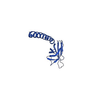 18119_8q30_8_v1-0
Sulfolobus acidocaldarius AAP filament.