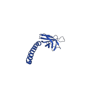 18119_8q30_LD_v1-0
Sulfolobus acidocaldarius AAP filament.