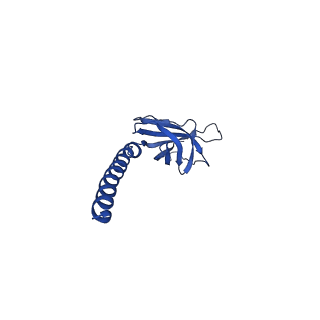 18119_8q30_L_v1-0
Sulfolobus acidocaldarius AAP filament.